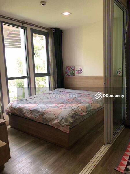 ให้เช่า - Moniiq Sukhumvit 64 : โมนีคสุขุมวิท64, กรุงเทพ
