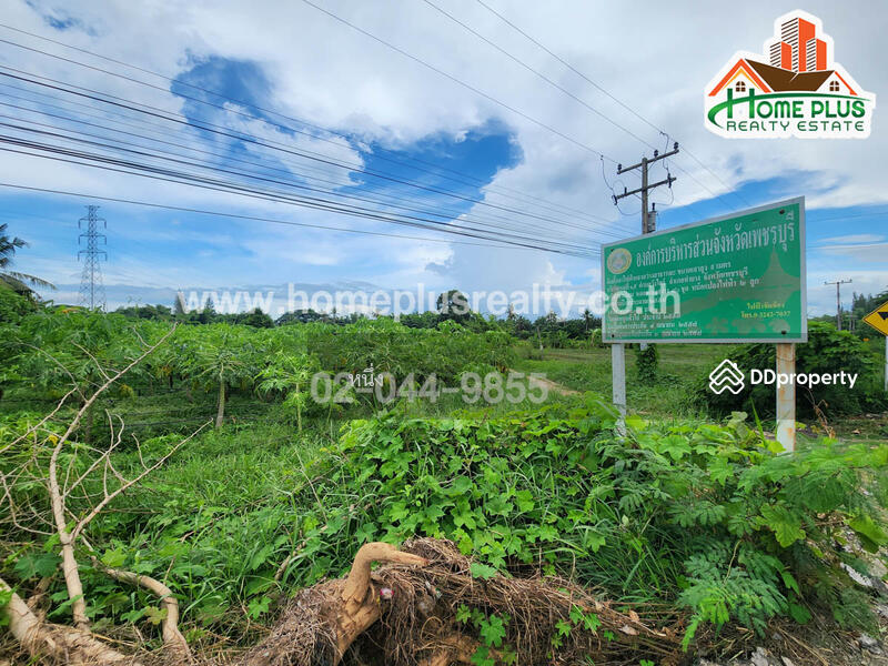 ขาย - ที่ดินติดถนนและด้านหลังติดริมน้ำ อำเภอท่ายาง เพชรบุรี เนื้อที่ 17 ไร่ 2 งาน 79 ตารางวา, เพชรบุรี