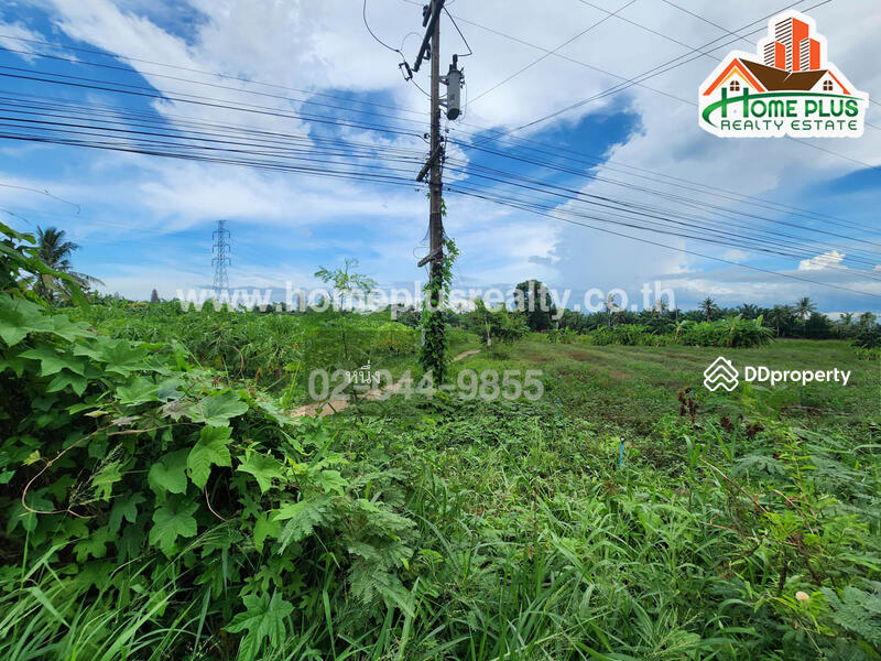 ขาย - ที่ดินติดถนนและด้านหลังติดริมน้ำ อำเภอท่ายาง เพชรบุรี เนื้อที่ 17 ไร่ 2 งาน 79 ตารางวา, เพชรบุรี