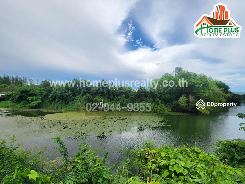 ขาย - ที่ดินติดถนนและด้านหลังติดริมน้ำ อำเภอท่ายาง เพชรบุรี เนื้อที่ 17 ไร่ 2 งาน 79 ตารางวา, เพชรบุรี