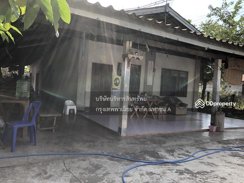 ขาย - โครงการบ้านเดี่ยว, หนองคาย