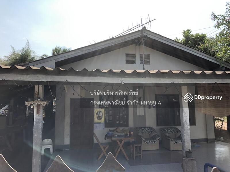 ขาย - โครงการบ้านเดี่ยว, หนองคาย