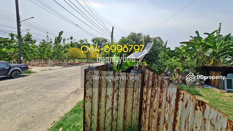 Land for sale, Phutthamonthon Sai 1, Soi 14, area 124 sq wah, Bangkok, 1 พุทธมณฑล สาย1 ซอย 14, Bang Ra Mat, Taling Chan, Bangkok, , 496 sqm, Land For Sale, by Wanlapa Charoonthum, 11222491 - DDproperty.com