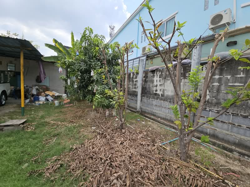 Land for sale, Phutthamonthon Sai 1, Soi 14, area 124 sq wah, Bangkok, 1 พุทธมณฑล สาย1 ซอย 14, Bang Ra Mat, Taling Chan, Bangkok, , 496 sqm, Land For Sale, by Wanlapa Charoonthum, 11222491 - DDproperty.com