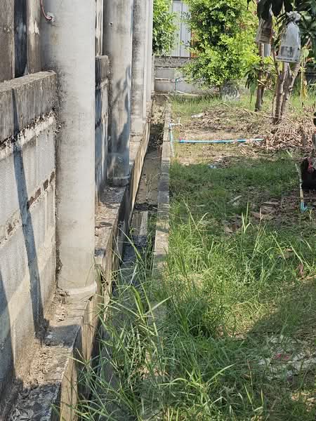 Land for sale, Phutthamonthon Sai 1, Soi 14, area 124 sq wah, Bangkok, 1 พุทธมณฑล สาย1 ซอย 14, Bang Ra Mat, Taling Chan, Bangkok, , 496 sqm, Land For Sale, by Wanlapa Charoonthum, 11222491 - DDproperty.com