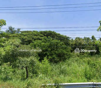 ขาย - ขายที่ดินสะแกกรัง 14-3-14 ไร่ ตำบลสะแกกรัง อำเภอเมือง จังหวัดอุทัยธานี, อุทัยธานี, อุทัยธานี