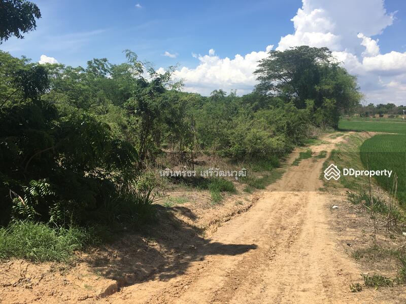 For Sale - Land for sale 14-3-14 Rai, Sakae Krang, Mueang Uthai Thani District, Uthai Thani, Uthai Thani