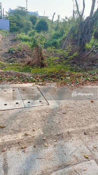 ขายที่ดิน92ตร.วาซอยอู่เพชรการาจชลบุรี ใกล้ถนนสุขุมวิทเพียง200เมตร, ชลบุรี, ซอยสถาพร, บ้านปึก, เมืองชลบุรี, ชลบุรี, 368 ตร.ม., ที่ดิน ขาย, โดย แสงเดือน คงแนวดี, 11225859 - DDproperty.com