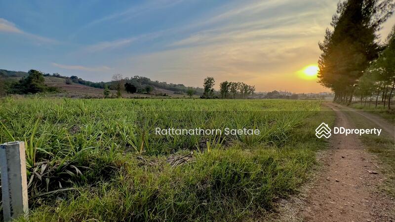 For Sale - Land Wang Katha, Pak Chong, Khao Yai (near Kensington), Nakhon Ratchasima
