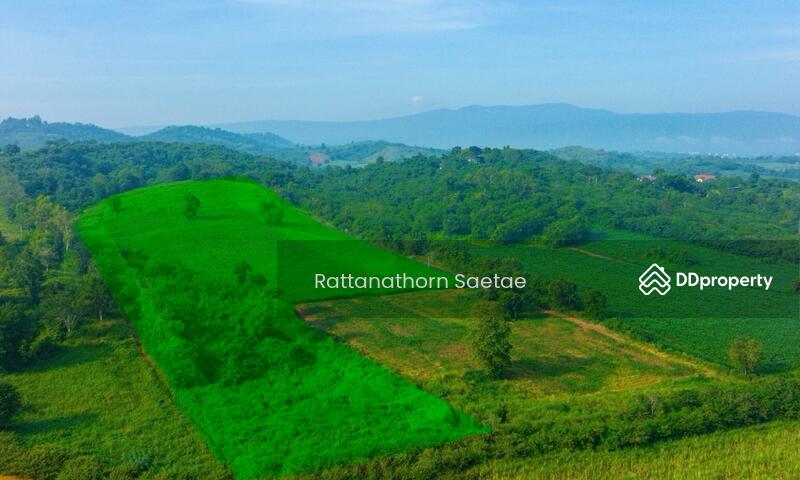 For Sale - Land Wang Katha, Pak Chong, Khao Yai (near Kensington), Nakhon Ratchasima