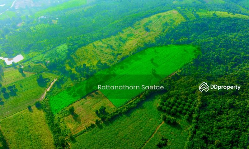 For Sale - Land Wang Katha, Pak Chong, Khao Yai (near Kensington), Nakhon Ratchasima