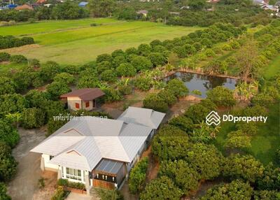 ขาย - บ้านสวนลำไยท่ามกลางธรรมชาติร่มรื่น 2-0-19.6 ไร่ อ.สันป่าตอง, เชียงใหม่