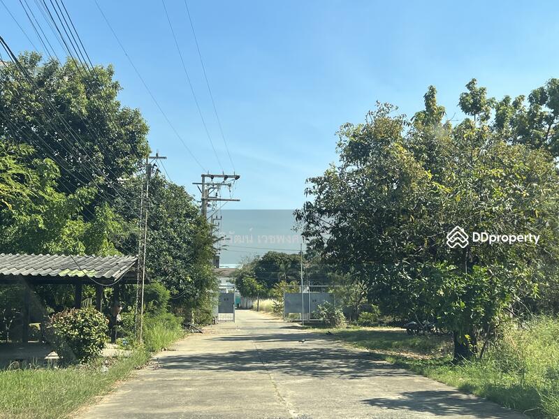 Land for Sale at Sukhumvit107 (Baring15) 4,458 sq.w., Bangkok, Bang Na, Bang Na, Bangkok, , 17,832 sqm, Land For Sale, by วิวัฒน์ เวชพงศา, 11231138 - DDproperty.com