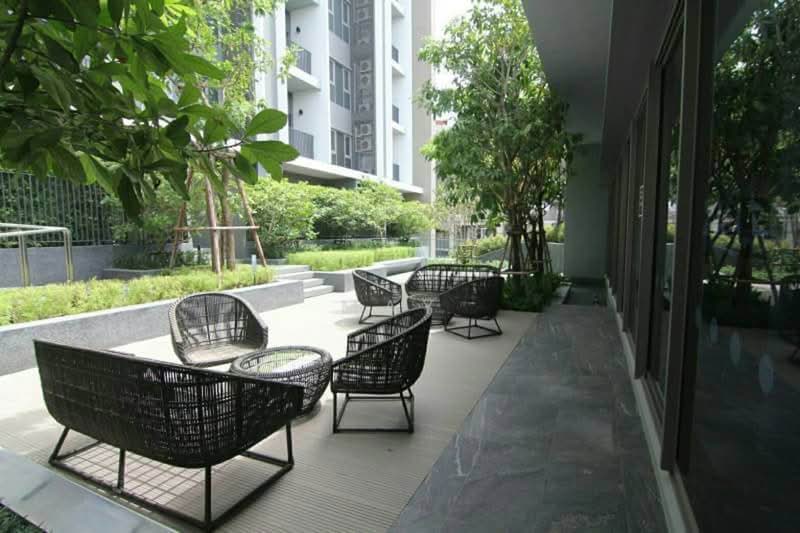 Whizdom Connect Sukhumvit, Bangkok, 1 Soi Piyibut 1, Sukhumvit Road, Bang Na, Bangkok, 1 Bedroom, 30 sqm, Condo For Rent, by May, 11232309 - DDproperty.com