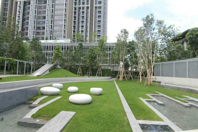 Whizdom Connect Sukhumvit : วิสซ์ดอม คอนเนค สุขุมวิท, กรุงเทพ, 1 ซอยปิยบุตร์ 1 ถนนสุขุมวิท, บางนา, กรุงเทพ, 30 ตร.ม., คอนโด ให้เช่า, โดย May, 11232309 - DDproperty.com