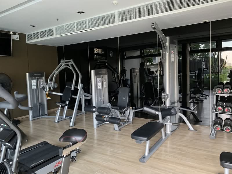 Whizdom Connect Sukhumvit : วิสซ์ดอม คอนเนค สุขุมวิท, กรุงเทพ, 1 ซอยปิยบุตร์ 1 ถนนสุขุมวิท, บางนา, กรุงเทพ, 30 ตร.ม., คอนโด ให้เช่า, โดย May, 11232309 - DDproperty.com