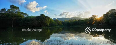 ขาย - 50190, เชียงใหม่