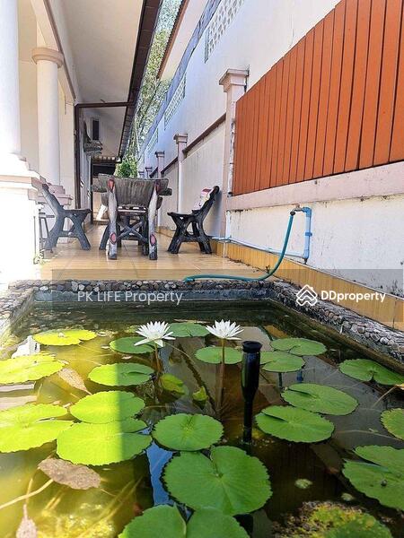 9R0547 This house for rent 3bedrooms 2bathrooms 30,000/month at wichit (available on April 2025), Phuket, Wichit, Muang Phuket, Phuket, 3 Bedrooms, 150 sqm, Single Detached House For Rent, by PK LIFE Property, 11233863 - DDproperty.com