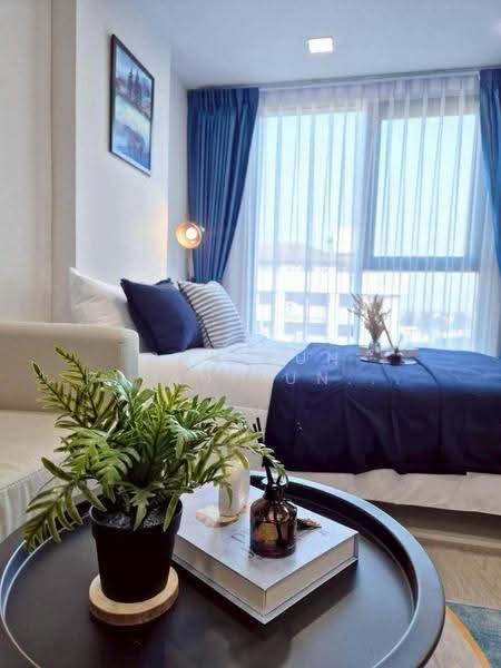 Atmoz Oasis Onnut, bangkok, Soi On Nut 66/1, On Nut Road, Suan Luang, Bangkok, 1 Bedroom, 24 sqm, Condo For Rent, by pun pun piyahirunchart, 11233870 - DDproperty.com