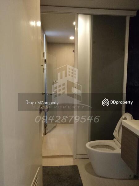 ให้เช่า - Tree Condo Sukhumvit 42 : ทรี คอนโด สุขุมวิท 42, กรุงเทพ