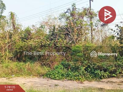 ขาย - ที่ดินบ้านผึ้ง นครพนม, นครพนม