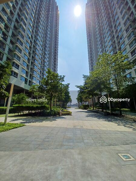 Lumpini Park Riverside Rama 3 : ลุมพินี พาร์ค ริเวอร์ไซด์ พระราม 3, กรุงเทพ, 4 ถนนพระราม 3, บางโพงพาง, ยานนาวา, กรุงเทพ, 26 ตร.ม., คอนโด ขาย, โดย รพีพร แซ่อึ้ง, 11237712 - DDproperty.com