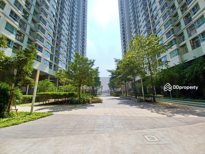 Lumpini Park Riverside Rama 3, Bangkok, 4 Rama 3 Road, Bang Pong Pang, Yan Nawa, Bangkok, 1 Bedroom, 26 sqm, Condo For Sale, by รพีพร แซ่อึ้ง, 11237712 - DDproperty.com