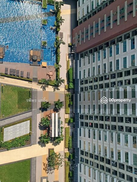Lumpini Park Riverside Rama 3, Bangkok, 4 Rama 3 Road, Bang Pong Pang, Yan Nawa, Bangkok, 1 Bedroom, 26 sqm, Condo For Sale, by รพีพร แซ่อึ้ง, 11237712 - DDproperty.com
