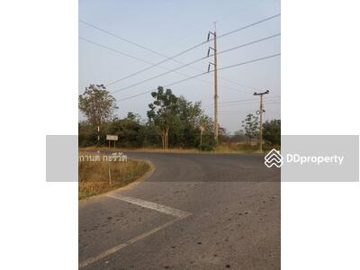 ขาย - ขายที่ดินแปลงมุม 4 ไร่ อ. พัฒนานิคม ต. หนองบัว ที่ดินหันหน้าไปทางทิศใต้ ฮวงจุ้ยรับทรัพย์ขั้นเทพ, ลพบุรี