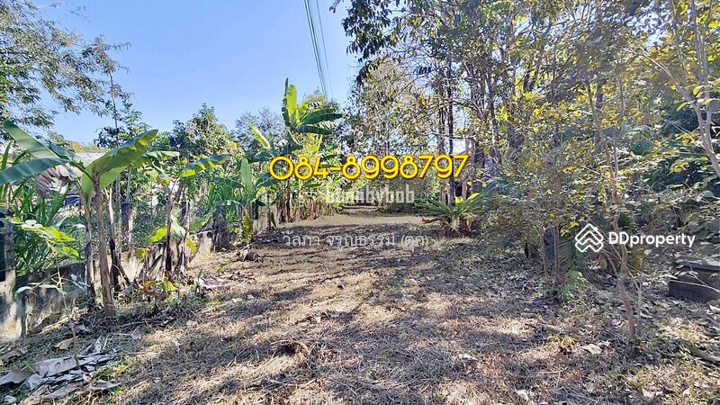 For Sale - House for sale with land, sakon nakhon, huai yang subdistrict,914 sq.war, Sakon Nakhon
