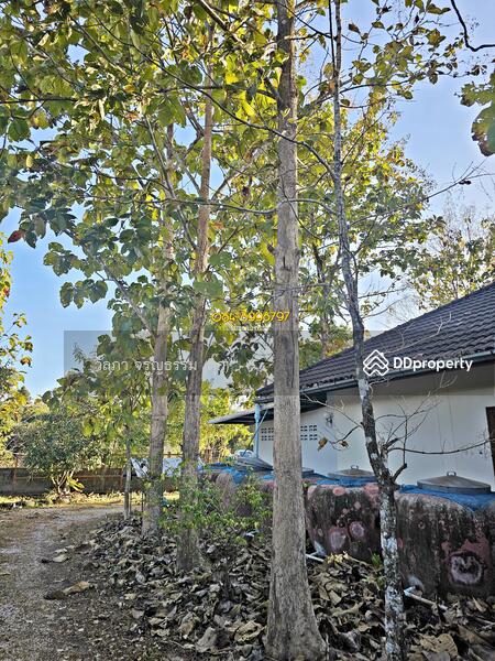 For Sale - House for sale with land, sakon nakhon, huai yang subdistrict,914 sq.war, Sakon Nakhon