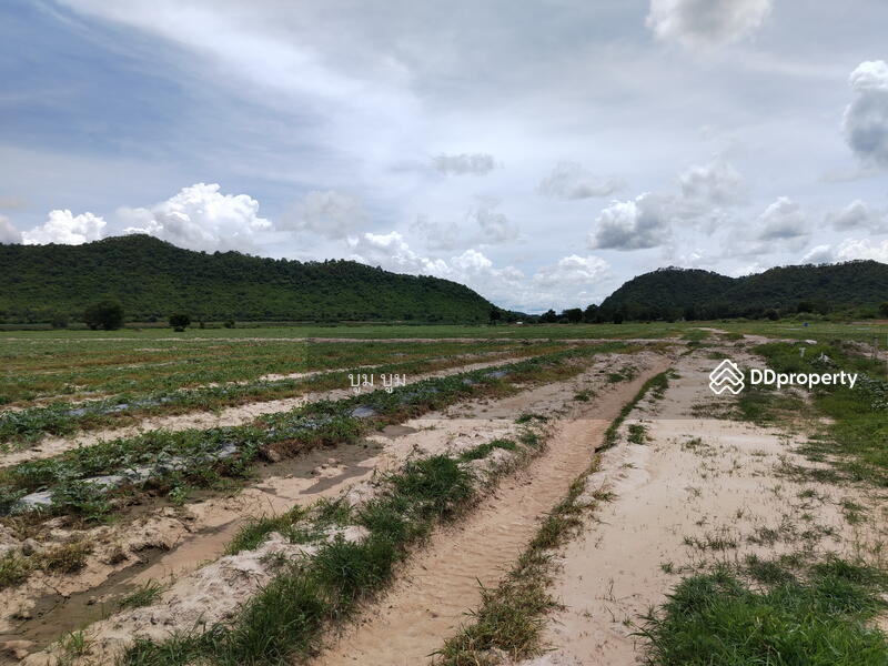 ขาย - ที่ดินโฉนด รังวัดแล้ว 192ไร่ เชิงเขา ติดห้วย น้ำไฟพร้อม ต.พังตรุ อ.ท่าม่วง จ.กาญจนบุรี เจ้าของขายเอง, กาญจนบุรี