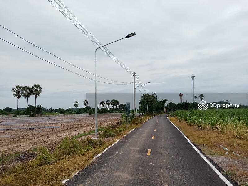 ขาย - ที่ดินโฉนด รังวัดแล้ว 192ไร่ เชิงเขา ติดห้วย น้ำไฟพร้อม ต.พังตรุ อ.ท่าม่วง จ.กาญจนบุรี เจ้าของขายเอง, กาญจนบุรี