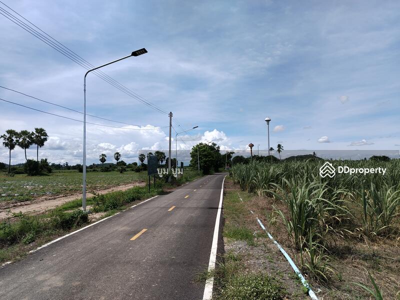 ขาย - ที่ดินโฉนด รังวัดแล้ว 192ไร่ เชิงเขา ติดห้วย น้ำไฟพร้อม ต.พังตรุ อ.ท่าม่วง จ.กาญจนบุรี เจ้าของขายเอง, กาญจนบุรี