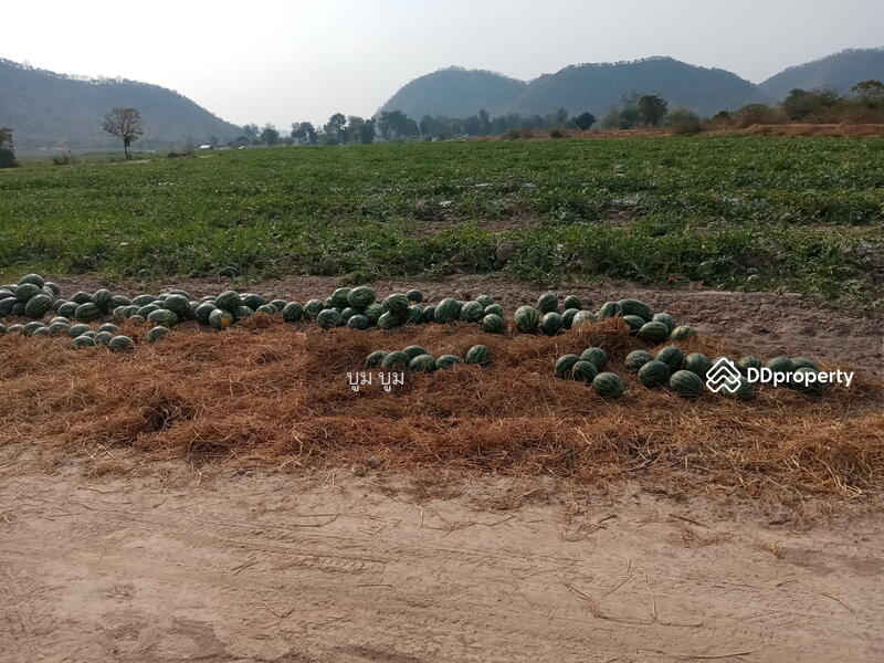 ขาย - ที่ดินโฉนด รังวัดแล้ว 192ไร่ เชิงเขา ติดห้วย น้ำไฟพร้อม ต.พังตรุ อ.ท่าม่วง จ.กาญจนบุรี เจ้าของขายเอง, กาญจนบุรี