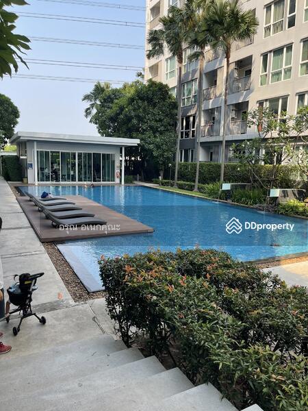 The Key Prachachuen, Nonthaburi, 111 Thanon Prachachun, Bang Khen, Muang Nonthaburi, Nonthaburi, 1 Bedroom, 36 sqm, Condo For Rent, by อรุณ อเนกคุณะ, 11239793 - DDproperty.com