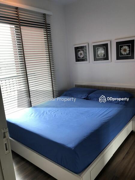 Wyne Sukhumvit, Bangkok, 1120 Sukhumvit Road, Phra Kanong, Khlong Toei, Bangkok, 1 Bedroom, 38 sqm, Condo For Rent, by NextStep Property, 11240889 - DDproperty.com