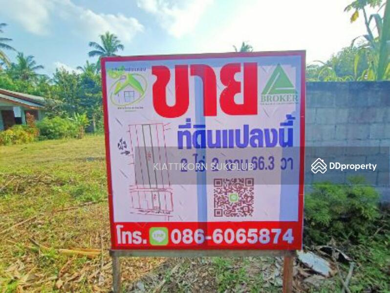 พื้นที่, Nakhon Si Thammarat, - -, Sao Thong, Ron Phi Pun, Nakhon Si Thammarat, , 4,264 sqm, Land For Sale, by KIATTIKORN SUKGLUB, 11243478 - DDproperty.com
