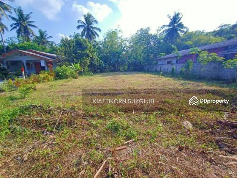 พื้นที่, Nakhon Si Thammarat, - -, Sao Thong, Ron Phi Pun, Nakhon Si Thammarat, , 4,264 sqm, Land For Sale, by KIATTIKORN SUKGLUB, 11243478 - DDproperty.com