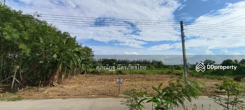 ขาย - ขายที่ดินถมแล้ว 104 ตร.ว. ซ.คลองสาม9/9 อ.คลองหลวง จ.ปทุมธานี, ปทุมธานี