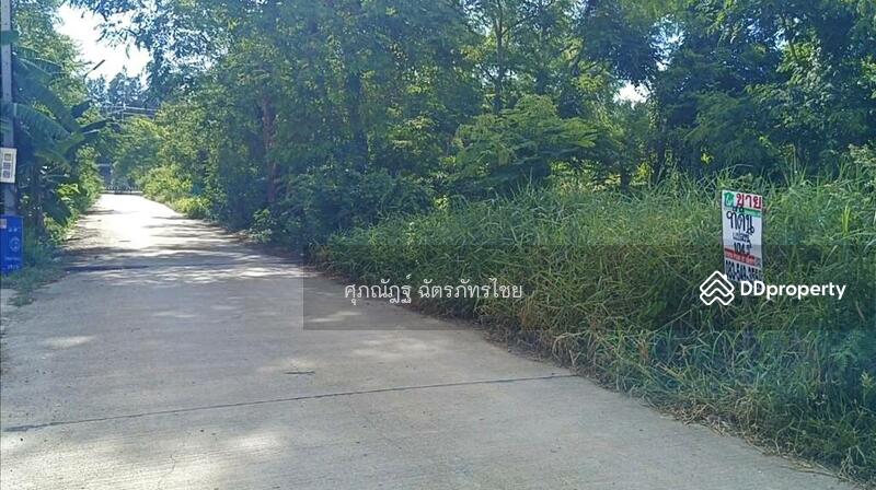 ขาย - ขายที่ดินถมแล้ว 104 ตร.ว. ซ.คลองสาม9/9 อ.คลองหลวง จ.ปทุมธานี, ปทุมธานี