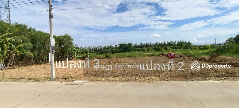 ขาย - ขายที่ดินถมแล้ว 104 ตร.ว. ซ.คลองสาม9/9 อ.คลองหลวง จ.ปทุมธานี, ปทุมธานี