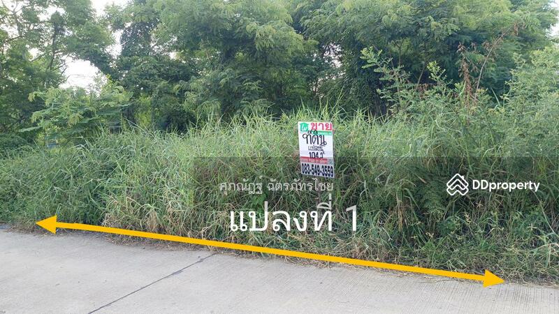 ขาย - ขายที่ดินถมแล้ว 104 ตร.ว. ซ.คลองสาม9/9 อ.คลองหลวง จ.ปทุมธานี, ปทุมธานี