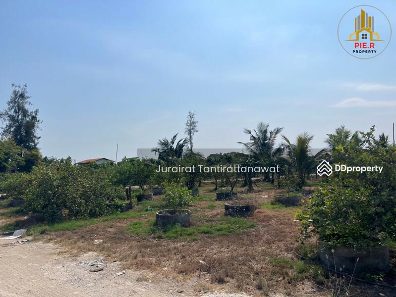 For Sale - ที่ดินแปลงใหญ่ใกล้รถไฟฟ้าสายสีส้ม ซ.รามคำแหง174, Bangkok