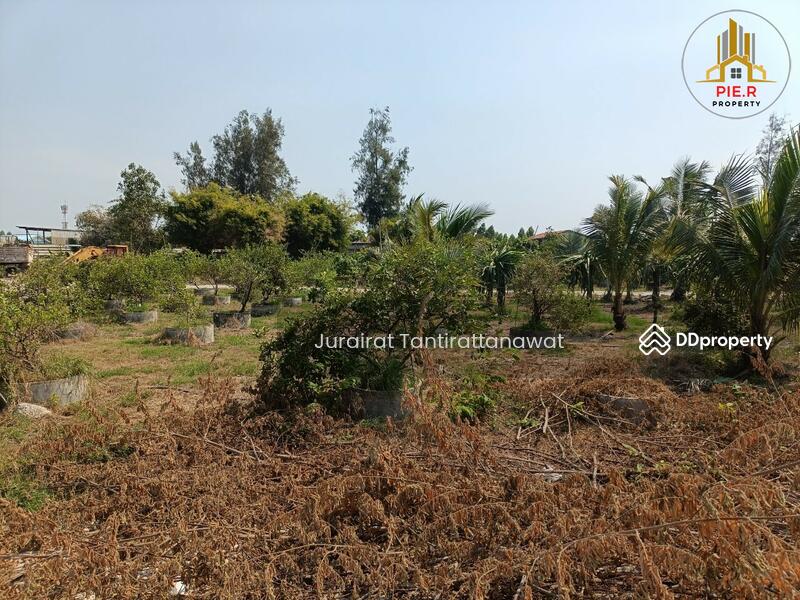 For Sale - ที่ดินแปลงใหญ่ใกล้รถไฟฟ้าสายสีส้ม ซ.รามคำแหง174, Bangkok