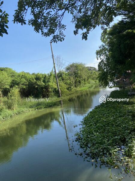 ที่ดินริมคลองตาชม ถนนวัดลาดปลาดุก บางคูรัด บางบัวทอง, นนทบุรี, วัดลาดปลาดุก, บางคูรัด, บางบัวทอง, นนทบุรี, 464 ตร.ม., ที่ดิน ขาย, โดย Uraiwan V., 11245426 - DDproperty.com