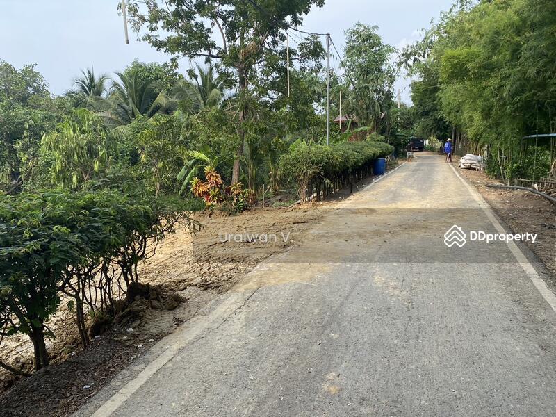 ที่ดินริมคลองตาชม ถนนวัดลาดปลาดุก บางคูรัด บางบัวทอง, นนทบุรี, วัดลาดปลาดุก, บางคูรัด, บางบัวทอง, นนทบุรี, 464 ตร.ม., ที่ดิน ขาย, โดย Uraiwan V., 11245426 - DDproperty.com