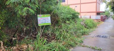 ขาย - ที่ดินนาป่า ชลบุรี, ชลบุรี