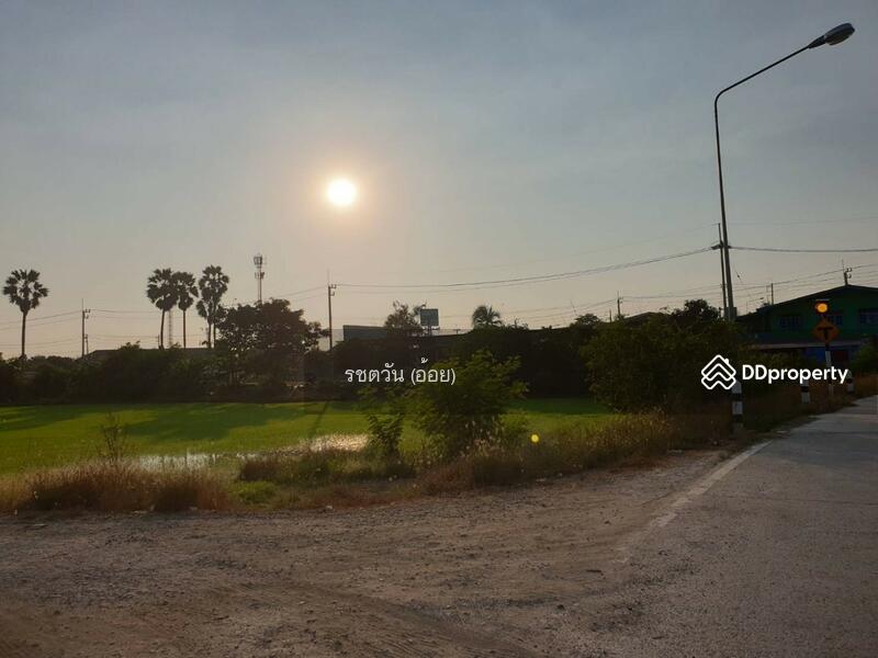 82193 - ขายที่ดิน 6 ไร่ ใกล้ศูนย์กระจายสินค้าโลตัส สามโคก, ปทุมธานี, คลองควาย, สามโคก, ปทุมธานี, 10,452 ตร.ม., ที่ดิน ขาย, โดย รชตวัน (อ้อย), 11248262 - DDproperty.com