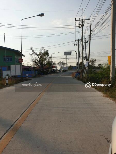 82193 - ขายที่ดิน 6 ไร่ ใกล้ศูนย์กระจายสินค้าโลตัส สามโคก, ปทุมธานี, คลองควาย, สามโคก, ปทุมธานี, 10,452 ตร.ม., ที่ดิน ขาย, โดย รชตวัน (อ้อย), 11248262 - DDproperty.com
